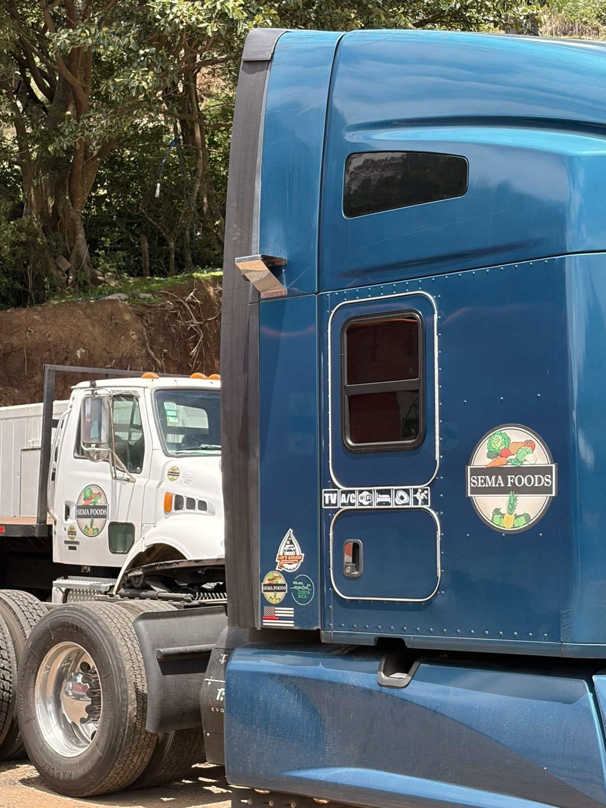 Camión con contenedor refrigerado Seaco