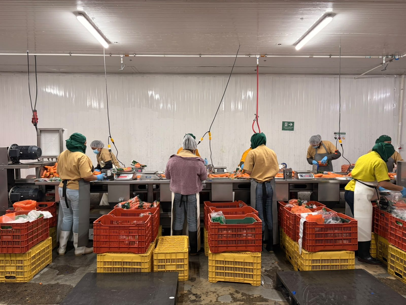 Planta de empaque Sema Foods